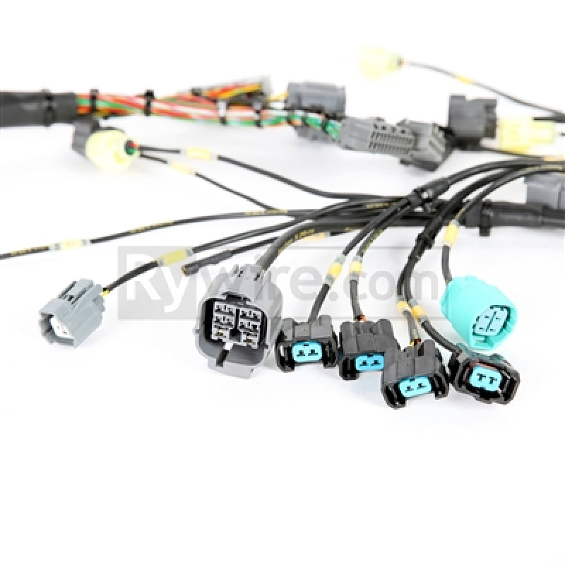 Rywire Honda B-Series Mil-Spec Eng Harness w/OBD2 Dist/Inj/Alt & OBD1 92-95 ECU Plugs (Adapter Req) RY-B2-MILSPEC RY-B2-MILSPEC Photo - Primary