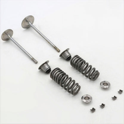 Ford Racing 5.2L Cylinder Head Valve Train Kit M-6505-FP350S M-6505-FP350S Photo - Primary
