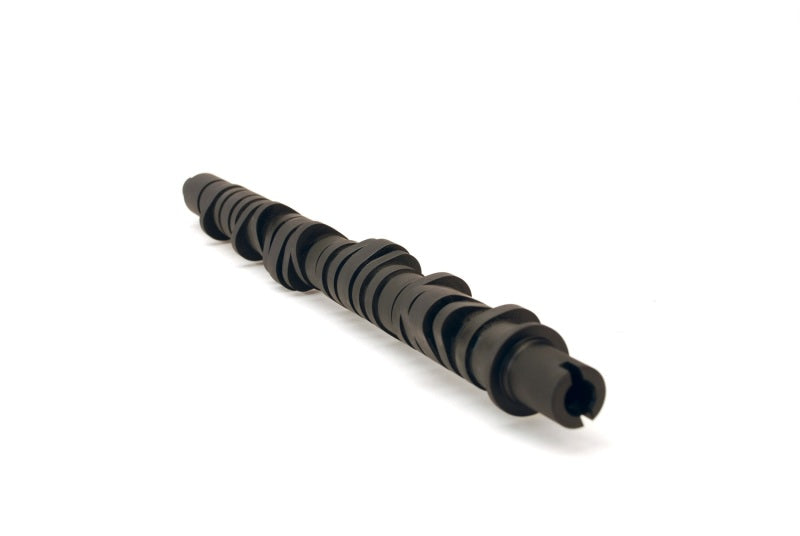 Skunk2 Tuner Stage 4 Camshaft - D VTEC 305-05-0055 Photo - Primary