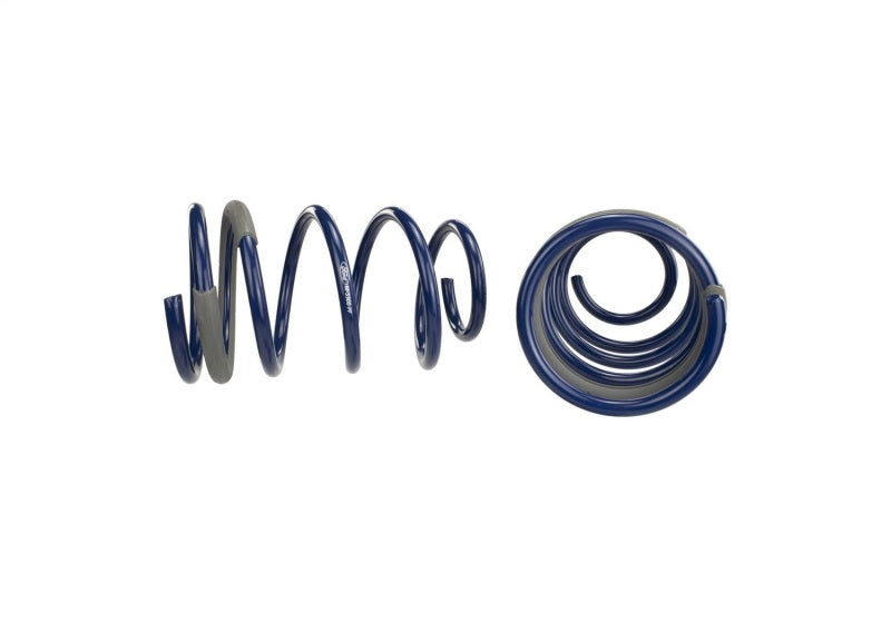Ford Performance Parts Ford Racing 2005-2014 Mustang GT 1.0in. Track Lowering Springs M-5300-PA Photo - Unmounted