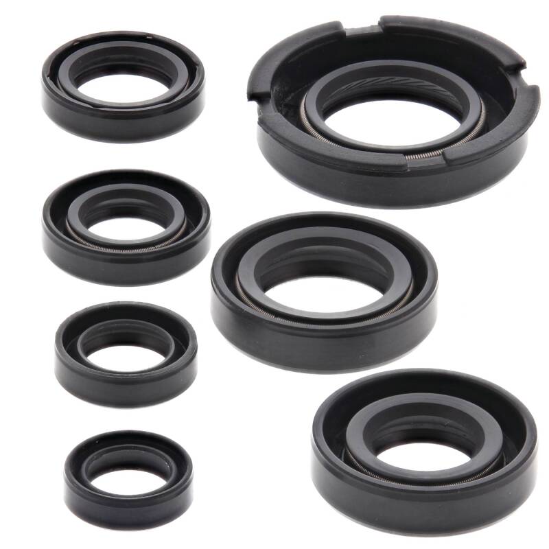 Vertex Pistons Vertex Gaskets 91-96 Honda XR250L Oil Seal Kit 822219 822219 Photo - Primary