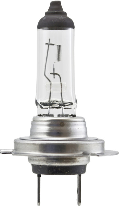 Hella High Wattage Bulb H7 12V 100W PX26d T4.6 H7 100W H7 100W Photo - Primary