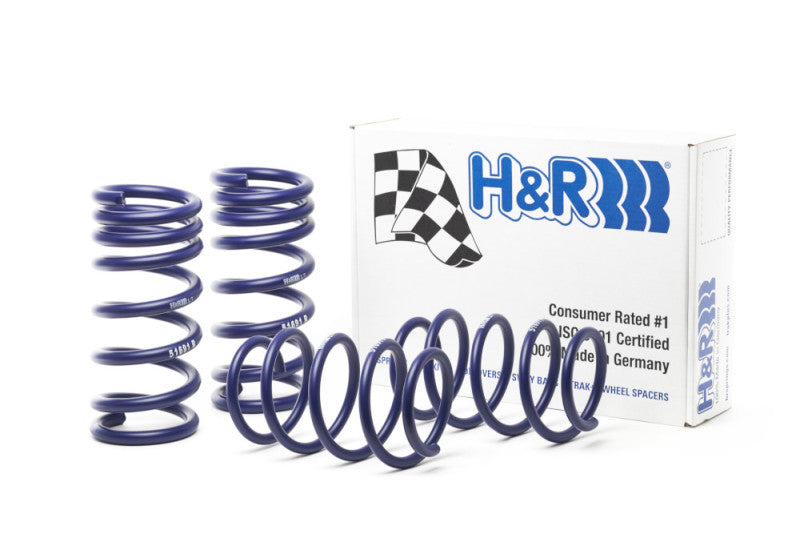 H&R Sport Spring 51691 Photo - out of package