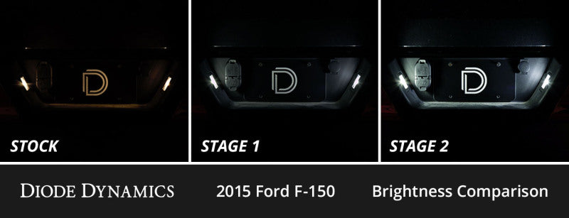 Diode Dynamics 15-20 d F-150 Interior LED Kit Cool White Stage 1 DD0591 DD0591 User 2