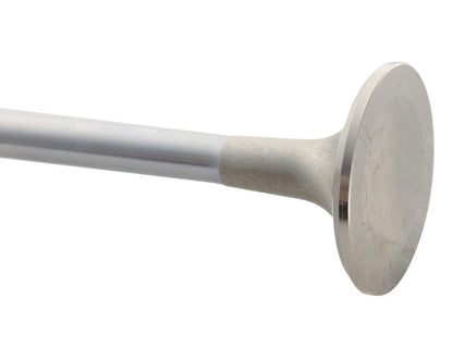 Ford Performance Parts Ford Racing Exhaust Valve 302/351W M-6505-B304 Photo - Unmounted