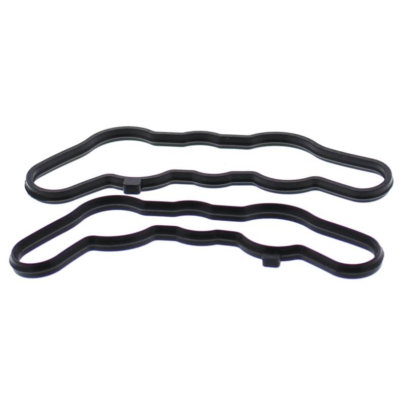 Vertex Pistons Vertex Gaskets 16-20 Polaris 800 AXYS Pro RMK Power Valve Gasket Kit 719122 719122 Photo - Primary