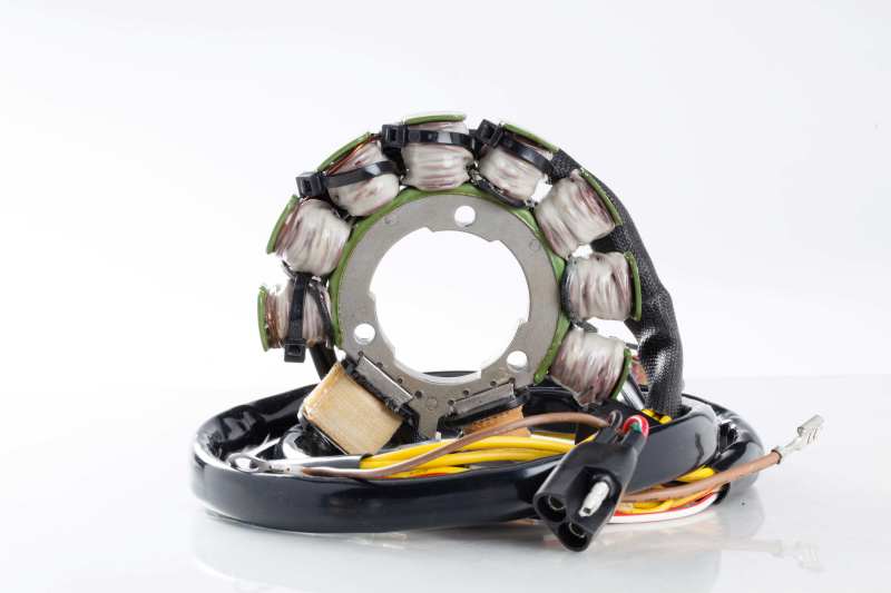 Ricks Motorsport Electrics Ricks Motorsport StatorPolaris 21-553 21-553 User 1