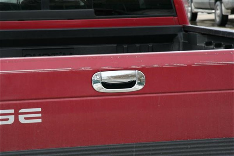 Putco Tailgate & Rear Handle Covers - 1994-2001, Dodge Ram 1500/2500/3500 403135 Photo - Primary