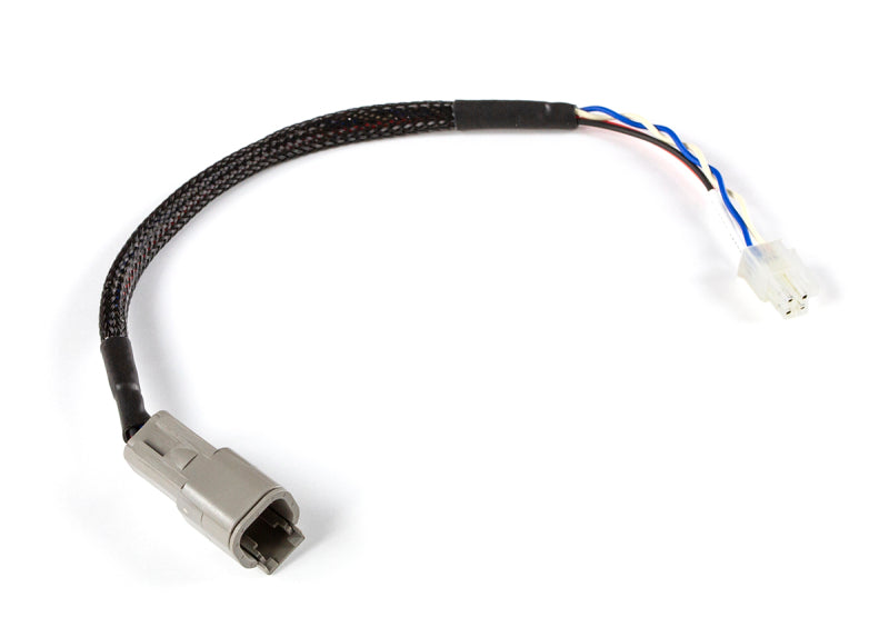 Haltech CAN Adaptor Loom DTM-4 to Minifit Jr HT-130049 HT-130049 Photo - Primary
