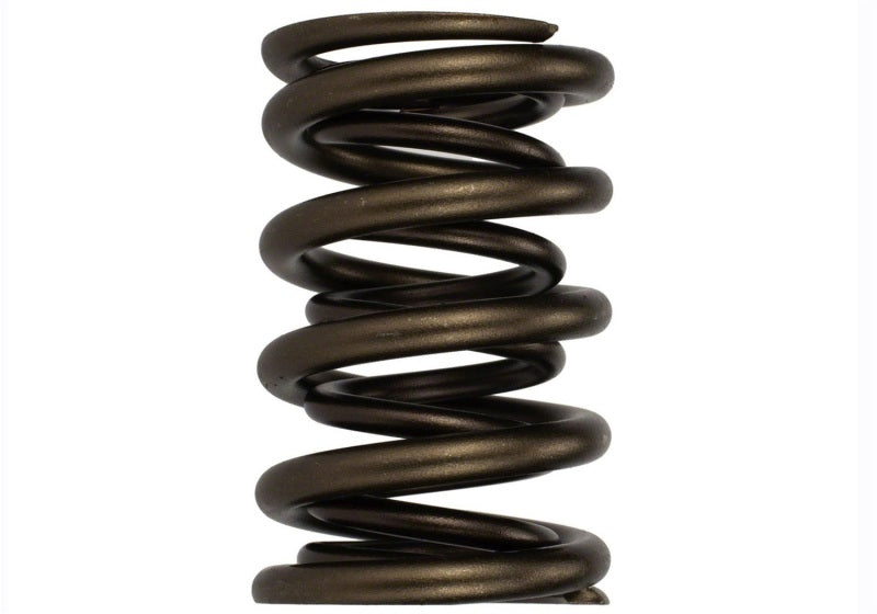 Ford Racing  Replacement Hydraulic Roller Valve Spring - Single (For M-6049-SCJA) M-6513-17341 M-6513-17341 Photo - Primary