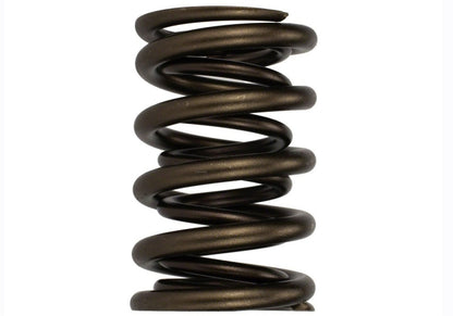 Ford Racing  Replacement Hydraulic Roller Valve Spring - Single (For M-6049-SCJA) M-6513-17341 M-6513-17341 Photo - Primary