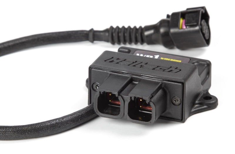 Haltech WB1 Single Channel CAN O2 Wideband Controller Kit HT-159976 HT-159976 Photo - Primary