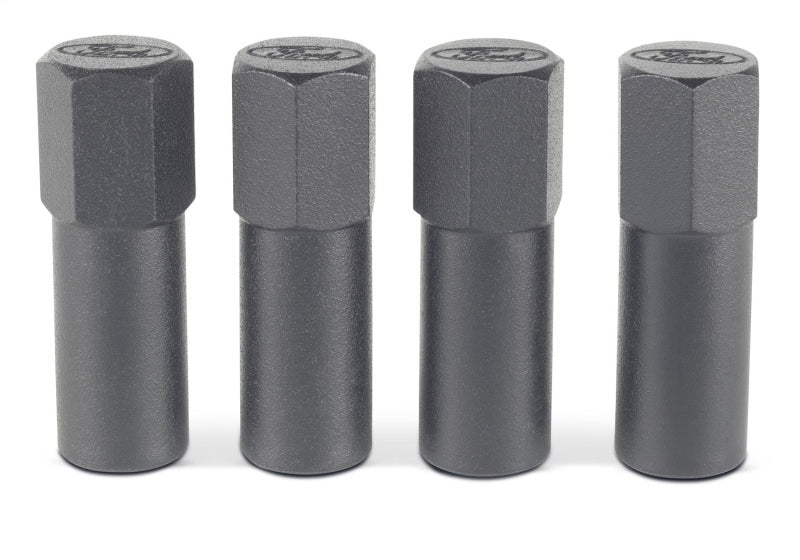 Ford Valve Cove Bolt Kit 4pk Black w/Ford Logo FRD302-316 302-316 Photo - Unmounted