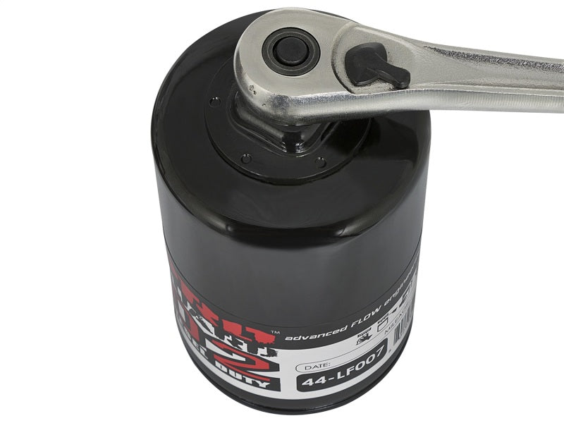 aFe Pro GUARD D2 Oil Filter (4 Pack) Ford Trucks 97-08 V6-4.2L; V8-4.6L 44-LF007-MB Photo - Unmounted