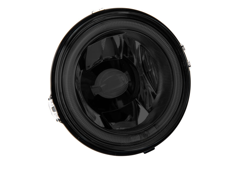 Raxiom 13-14 Ford Mustang GT CCFL Halo Fog Lights (Smoked) 49177 49177 Photo - Close Up