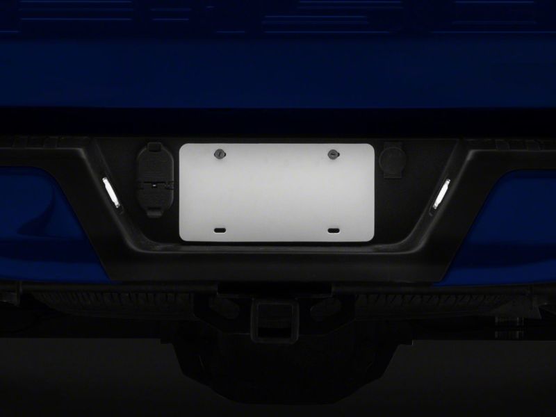 Raxiom 15-23 Ford F-150 Axial Series LED License Plate Lamps T542565 T542565 Photo - Close Up