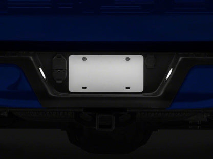 Raxiom 15-23 Ford F-150 Axial Series LED License Plate Lamps T542565 T542565 Photo - Close Up