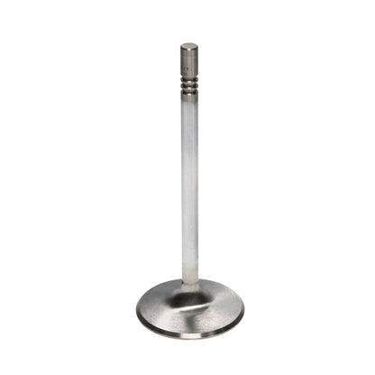 Manley 99-12 Ford V8 4.6L/281 5.4/330 45.5mm Race Series Stainless Steel Intake Valves (Set of 8) 11640-8 11640-8 User 2