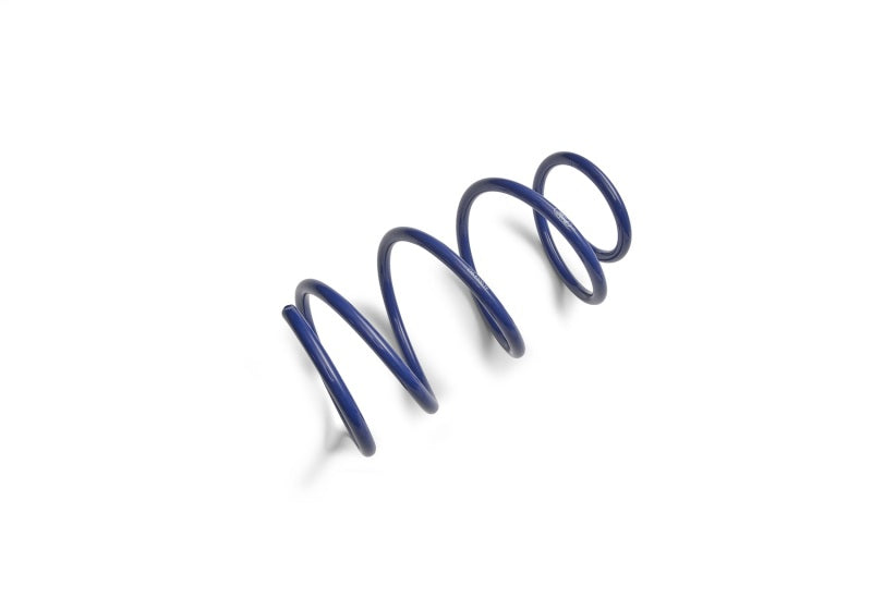 Ford Performance Parts Ford Racing 2012-2013 BOSS 302 Lowering Springs M-5300-T Photo - Unmounted