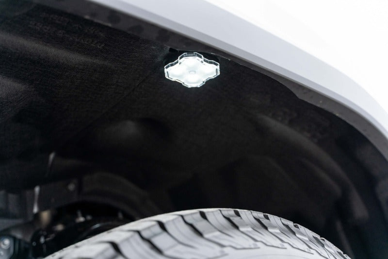 Diode Dynamics Stage Series RGBW LED Rock Light Kit (8-pack) DD7745C DD7745C User 1