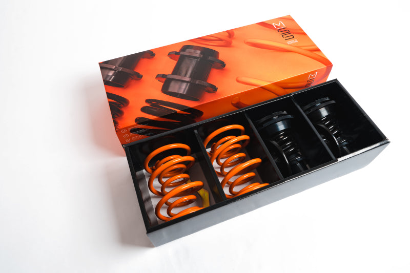 MSS Suspension MSS 12-20 Audi A3 / S3 / RS3 Track Full Adjustable Kit 03AAUDA38V 03AAUDA38V User 1