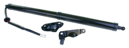 Stabilus Liftgate Lift Support (R) POWERISE for 2014-2019 Toyota Highlander 2Q-586792