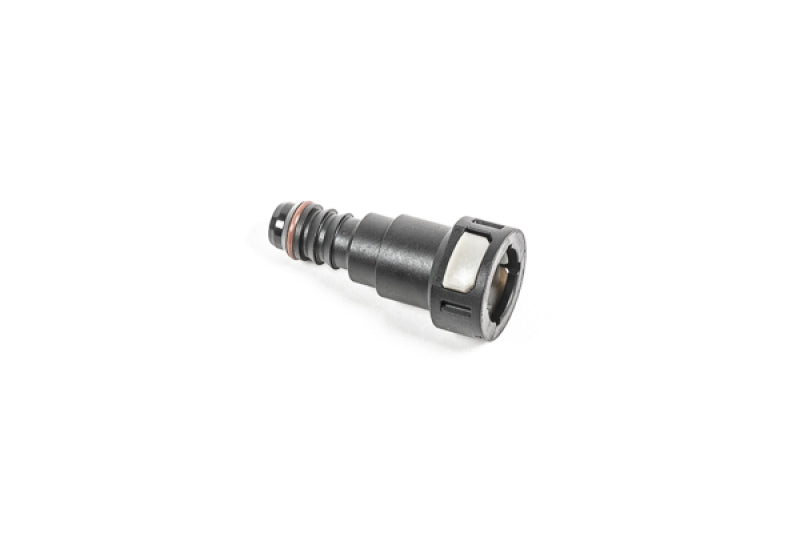 Radium Engineering 1/2in SAE Female to 1/2in Barb 14-0755 14-0755 Photo - Primary