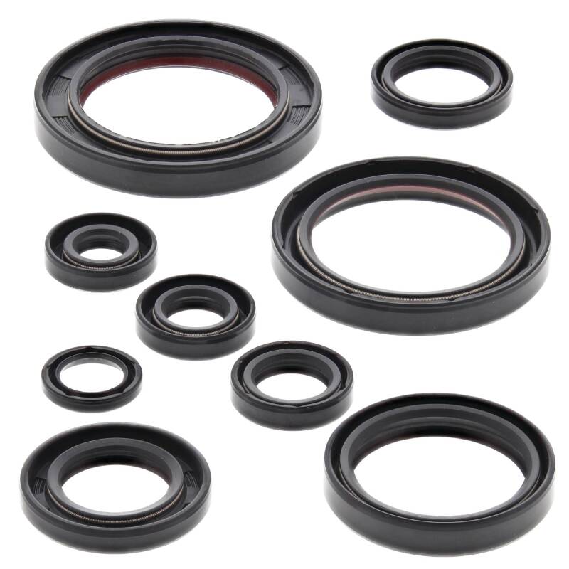 Vertex Pistons Vertex Gaskets 05-17 Honda CRF450X Oil Seal Kit 822315 822315 Photo - Primary