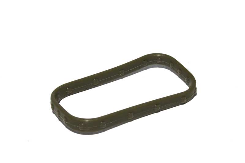 FAST Replacement Intake Port Seal 146003-1 146003-1 Photo - Primary