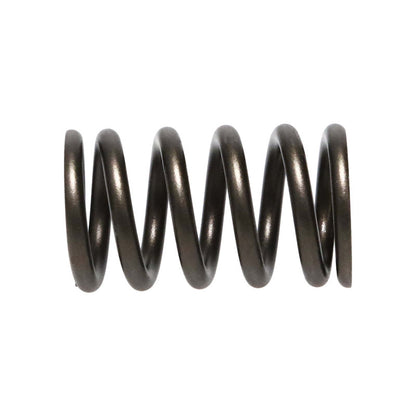 Manley Nissan (SR20DE SR20DET) 16pc Valve Springs 22165-16 22165-16 User 2
