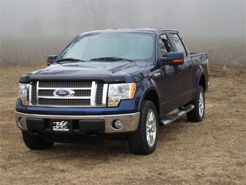 Stampede Vigilante Premium Hood Protector, Smoke, for 2009-2014 Ford F-150 2149-2 Photo - Mounted
