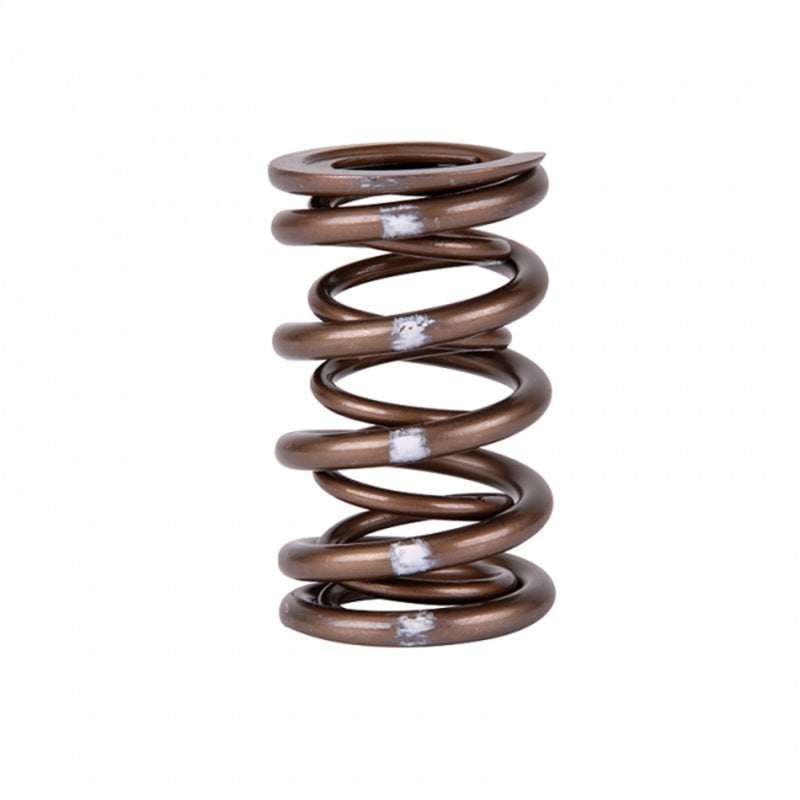 Skunk2 Pro Series XP Valve Spring Set Honda/Acura B-Series VTEC 311-05-7350 Photo - Unmounted