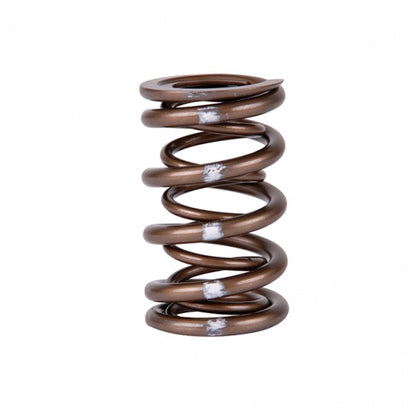 Skunk2 Pro Series XP Valve Springs Set Honda/Acura K-Series i-VTEC 311-05-7380 Photo - Unmounted