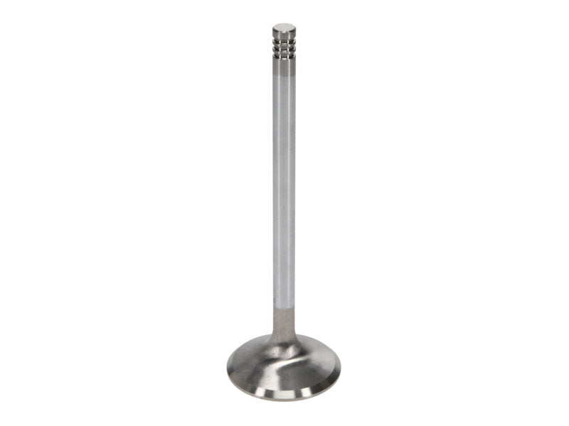 Manley Ford 6.2L Race Master Intake Valves 43mm HD B (Set of 8) 11613B-8 11613B-8 User 2