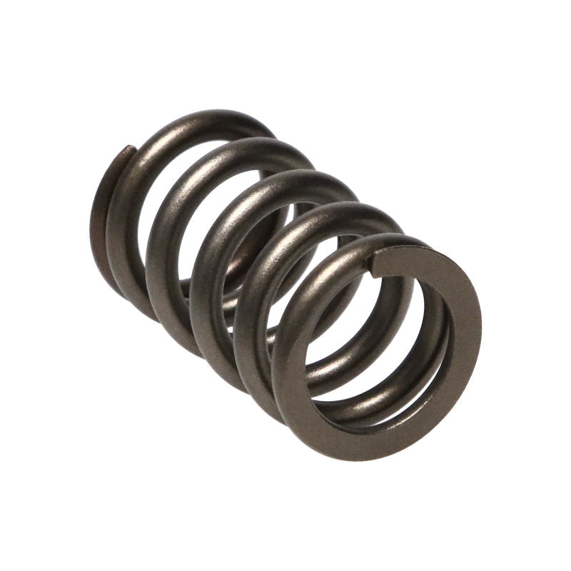 Manley Performance Valve Spring; Set of 16; For use with Retainer # 2 22190-16 Photo - Primary