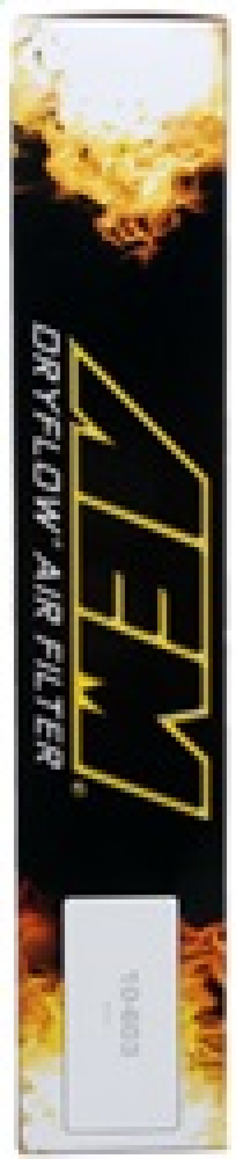 AEM Induction AEM 10-11 Hyundai Tucson 2.0/2.4L DryFlow Air Filter 28-20451 28-20451 Photo - in package