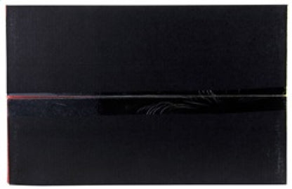 AEM Induction AEM 14-15 Lexus IS250/350 V6 Cold Air Intake 21-759C 21-759C Photo - in package