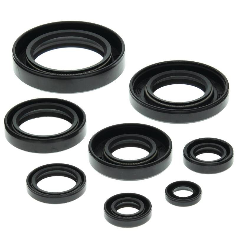 Vertex Pistons Vertex Gaskets 85-86 Honda ATC250R Oil Seal Kit 822147 822147 Photo - Primary