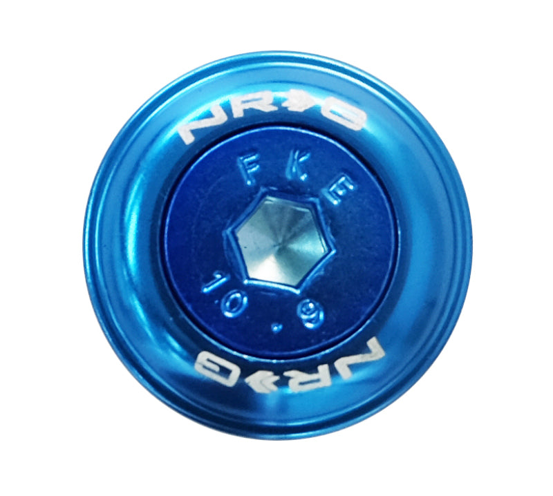 NRG Fender Washer Kit w/Color Matched M6 Bolt Rivets For Plastic (Blue) - Set of 10 FW-150BL FW-150BL Photo - Primary