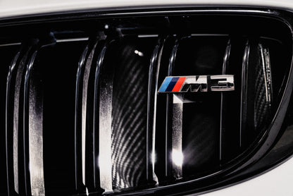 AMS Performance 15-18 BMW M3 / 15-20 BMW M4 w/ S55 3.0L Turbo Engine Carbon Fiber Intake AMS.39.08.0001-1 AMS.39.08.0001-1 User 1