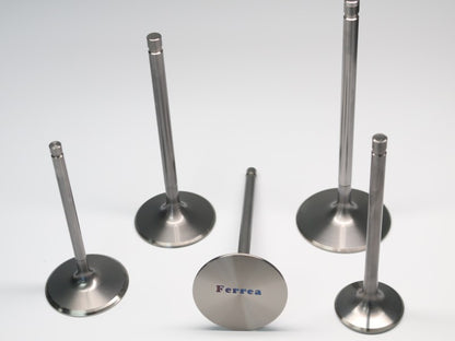 Ferrea Chevy/Chry/Ford BB 2.5in 5/16in 6.9in 0.29in 13 Deg Titanium Comp Intake Valve - Single F1768-1 F1768-1 Photo - Primary