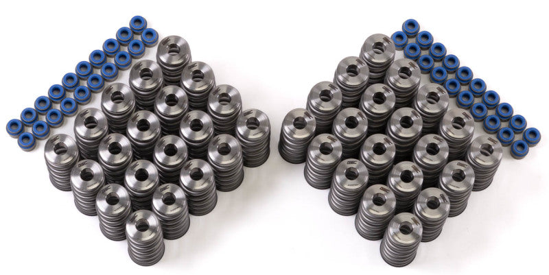 GSC Power Division GSC P-D Audi R8 V10 / Lamborghini Huracan V10 5.2L Valve Spring & Ti Retainer Kit (w/Seats & Seals) 5025 5025 User 1