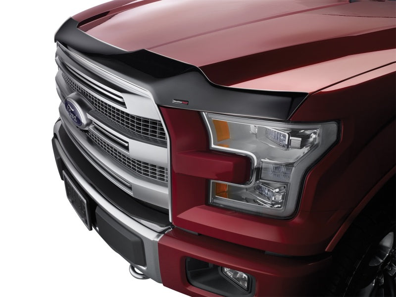 WeatherTech 2015+ Ford Focus Hood Protector - Black 55081 55081 Photo - Mounted