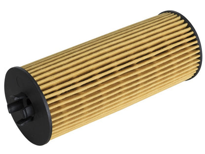 aFe  POWER 44-LF026 Pro GUARD D2 Oil Filter 44-LF026 Photo - Unmounted