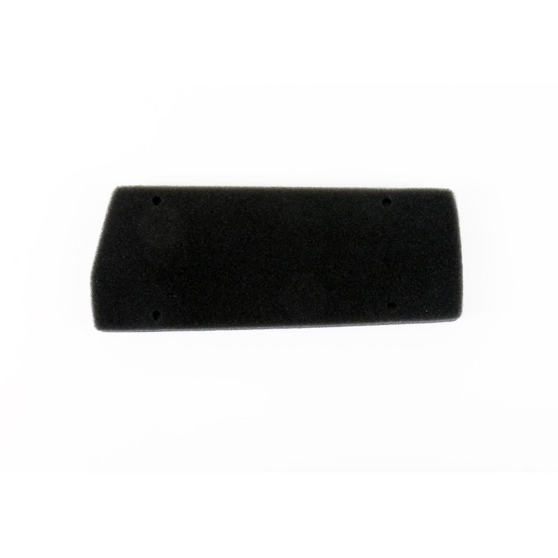 Athena 93-05 Aprilia 50 Air Filter S410010200001 S410010200001 Photo - Primary