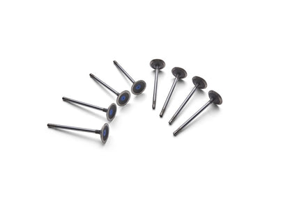 Ford Racing Coyote 5.2L Lightweight Exhaust Valve - Set of 8 M-6505-M52 M-6505-M52 Photo - Unmounted