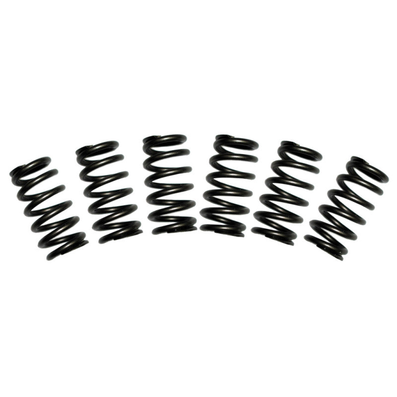 BD Diesel Valve Spring Kit 60lb Cummins 5.9 12-valve 1030060 Photo - Primary