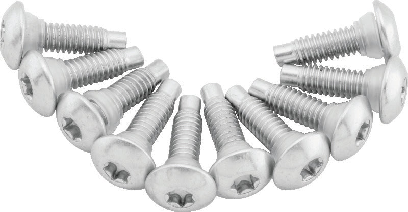 TwinPower Twin Power 01-17 Softail Models 02-07 FLH FLHT Fuel Pump Plate Screw Kit Replaces H-D 1311D 046268 046268 Photo - Primary