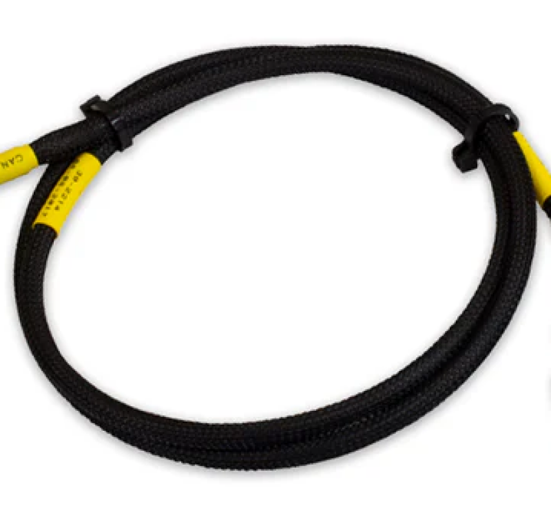 AEM Electronics CD-7/CD-7L Plug & Play Adapter Harness For Holley EFI 30-2214 Photo - out of package