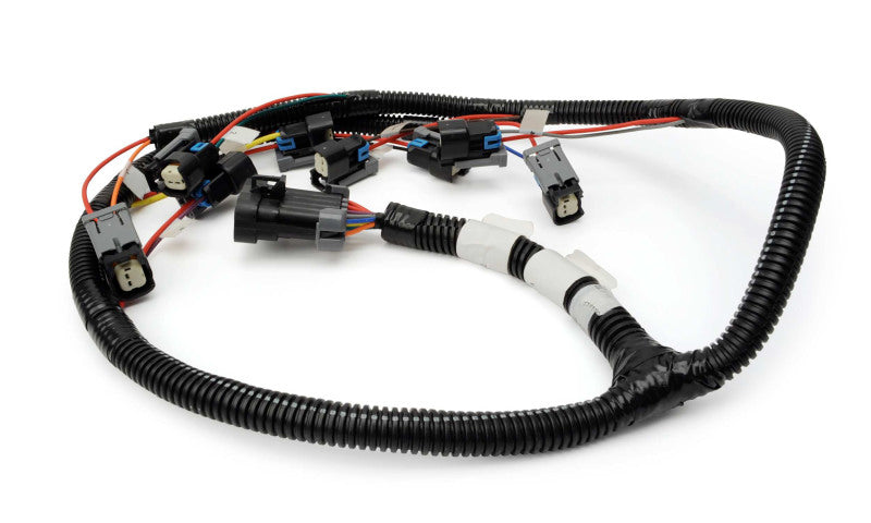 FAST Fuel Injection Harness 301210 Photo - Primary